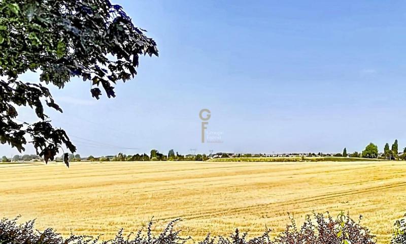 vente terrain bondues refvt2507 gf   idphoto.jpg