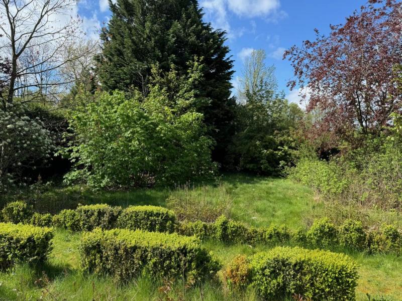 vente terrain marcq en baroeul refvt2398 gf   idphoto.jpg