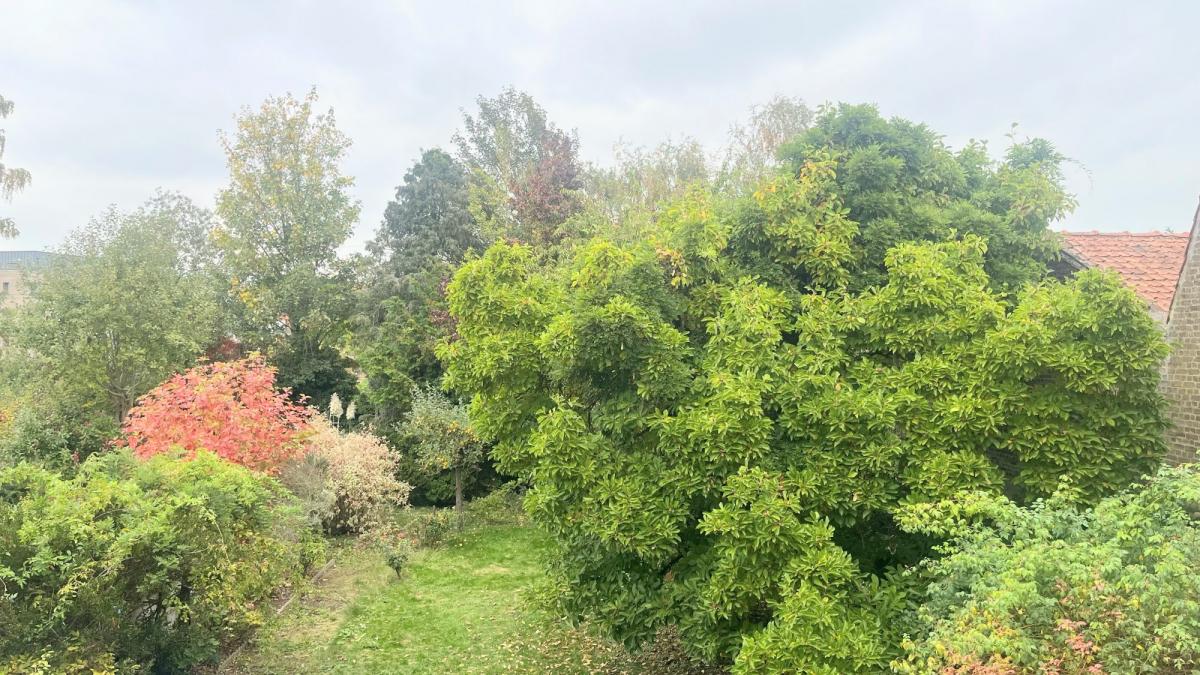 vente maison lille refvm38146 gf