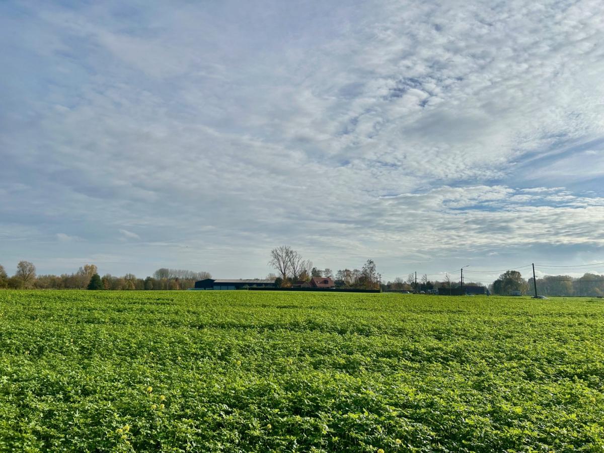 vente maison verlinghem refvm38776 gf