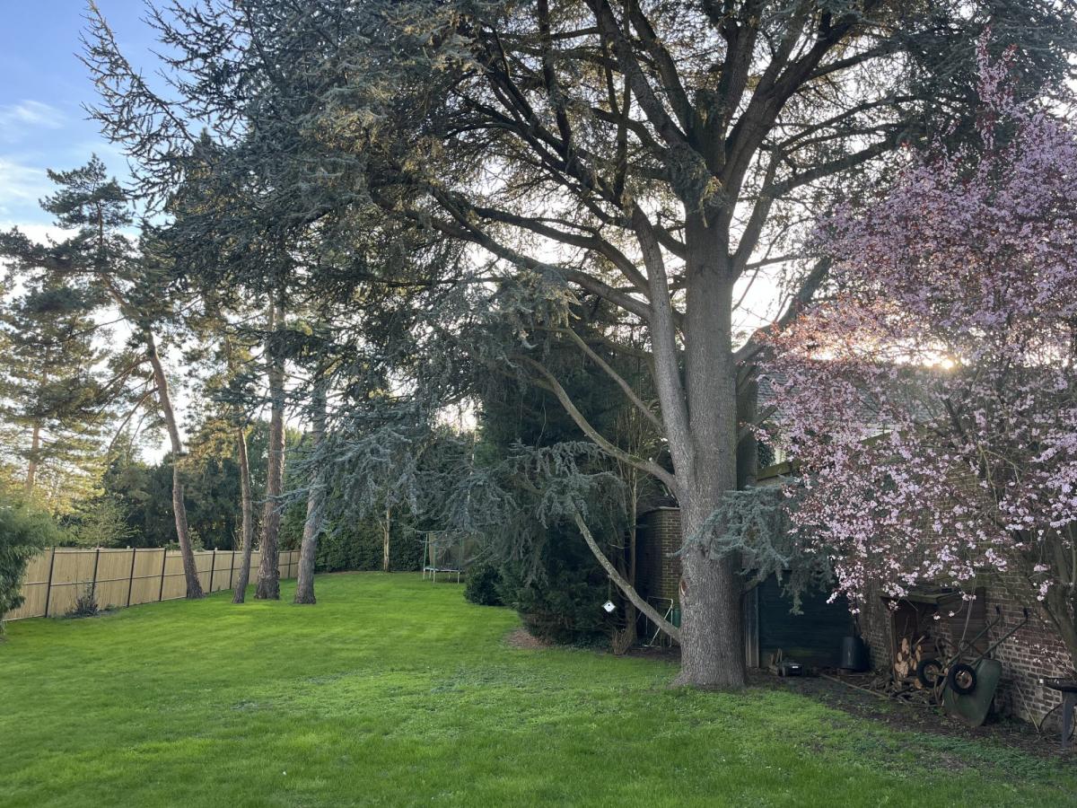 vente maison villeneuve dascq refvm38757 gf